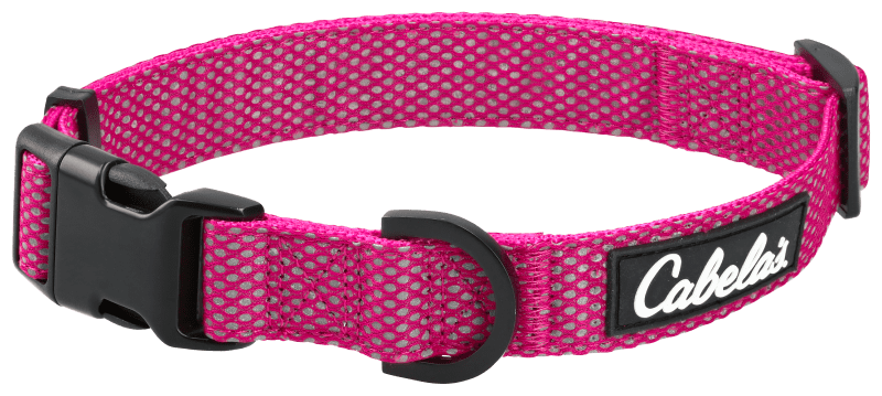Cabelas dog collar outlet