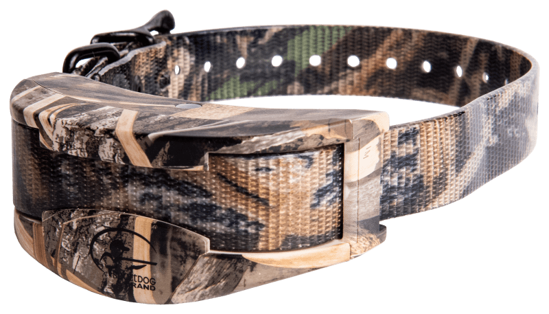 Bass pro dog collars sale