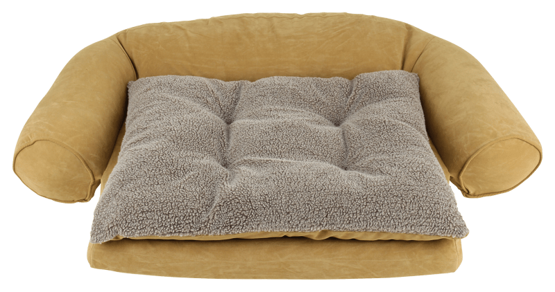 Bass pro store dog beds