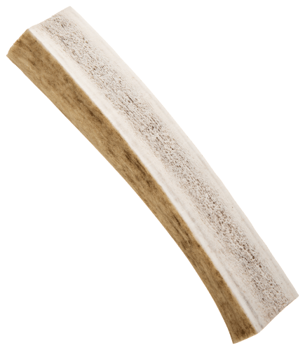 Blue sky shop antler chews