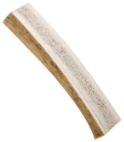 Scott Pet Products Big Sky Whole Antler Dog Chews