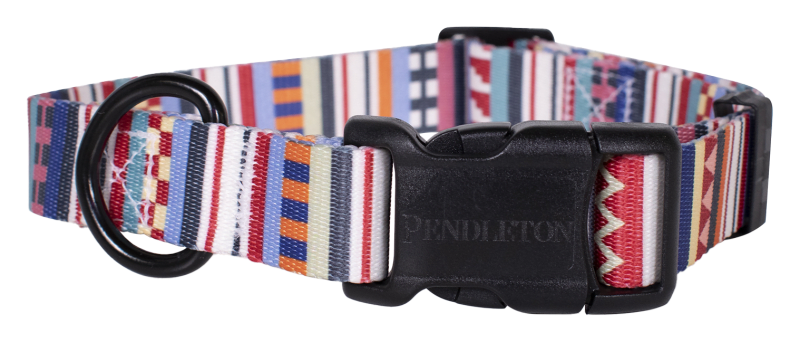 Bass pro shop dog collars clearance