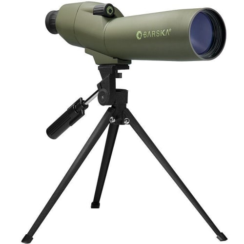 Bass pro telescope best sale