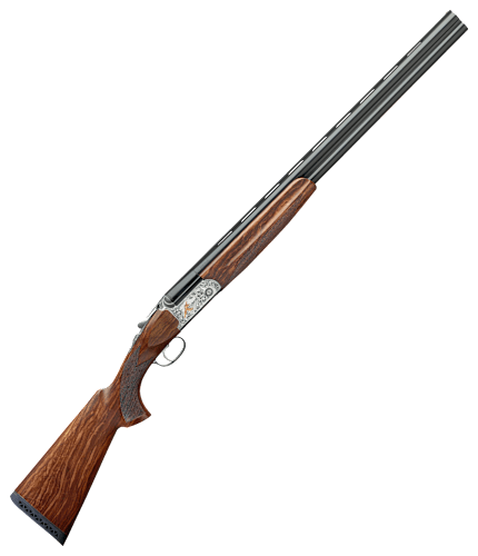 217 12 Gauge Shotgun Stock Photos, High-Res Pictures, and Images