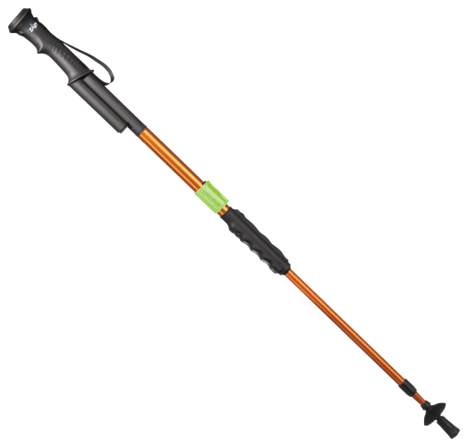 Cabela's walking store stick
