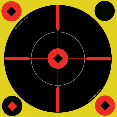 Birchwood Casey Long Range Bullseye Target