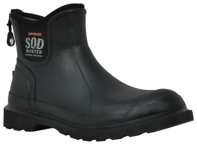 Bobby ankle boots discount