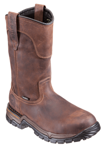 Irish setter two harbors clearance