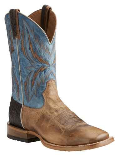 Bass pro western boots online