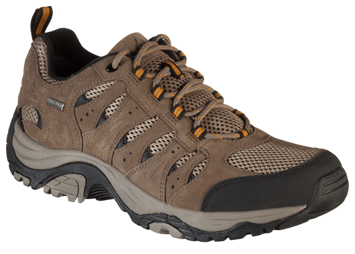 Ascend Approach II Low Waterproof Hiking Shoes for Men