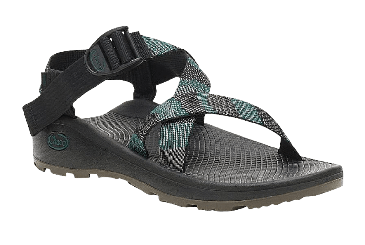Bass pro chacos 2025