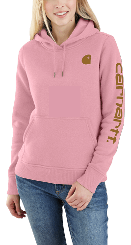 Carhartt Clarksburg Sleeve Logo Long-Sleeve Hooded Sweatshirt for Ladies