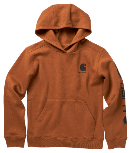 Carhartt hoodie bass pro clearance