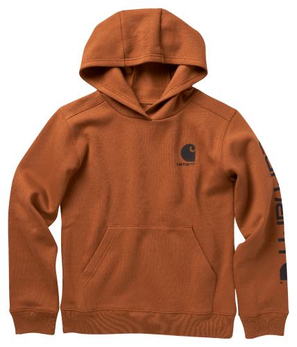 Iconic Eagle Carhartt Hoodie