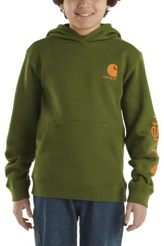Bass pro store shop carhartt hoodies