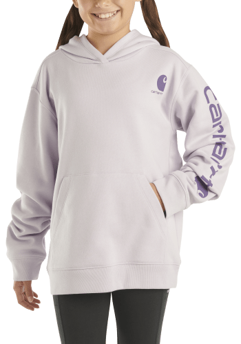 Carhartt store sweatshirt kids
