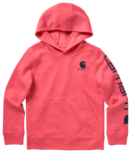Carhartt youth hoodie new arrivals