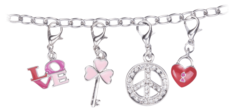 Amanda blu clearance charm bracelet