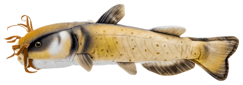 Bass Pro Shops Plush Stuffed Catfish