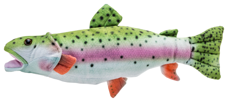 Bass Pro Shops Plush Stuffed Rainbow Trout