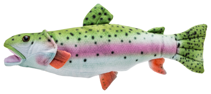 Trout toy discount