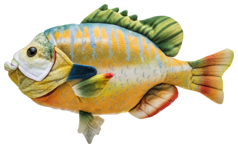 Fish plush toy top