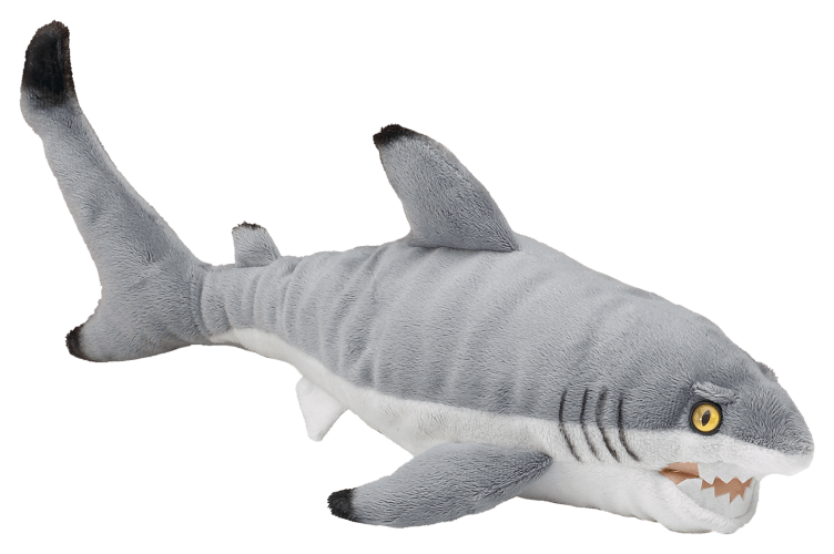 Shark Fishing Tackle, Gear & Equipment – Rok Max