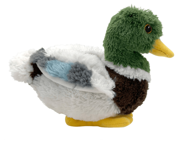 Mallard duck best sale soft toy
