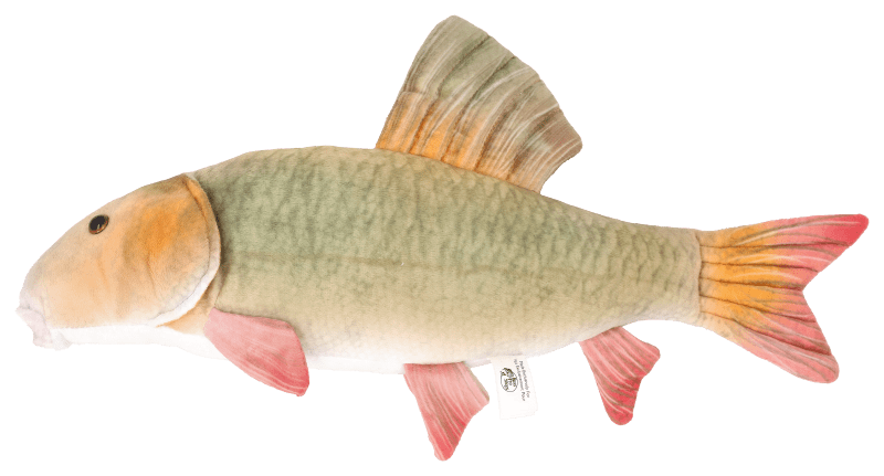 Stuffed bass fish 2025