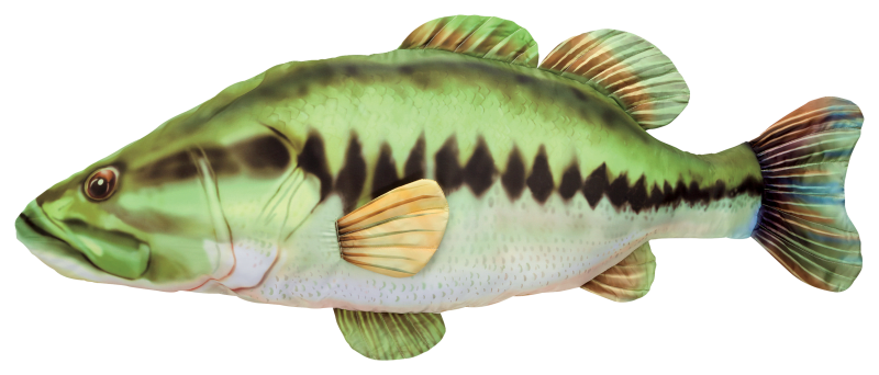 Bass Pro Shops Plush Stuffed Rainbow Trout