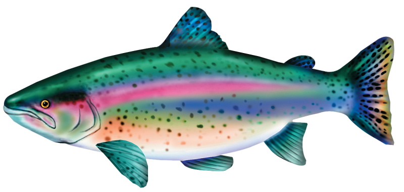 Bass Pro Shops Giant Stuffed Rainbow Trout for Kids