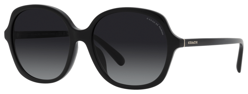 Coach HC8360U Polarized Sunglasses for Ladies Bass Pro Shops