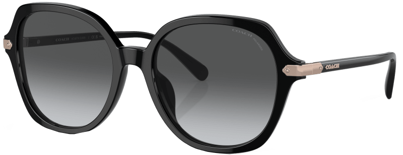 Coach polarized sunglasses store