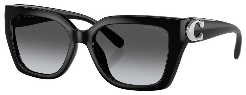 Coach HC8408U Sunglasses for Ladies