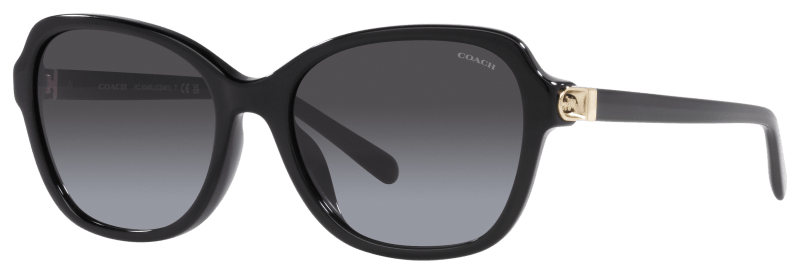 Coach sunglasses womens black best sale