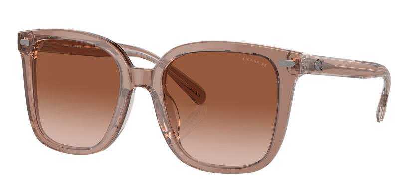 Bass pro sunglasses outlet