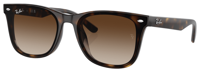 Ray ban injected unisex sunglass online