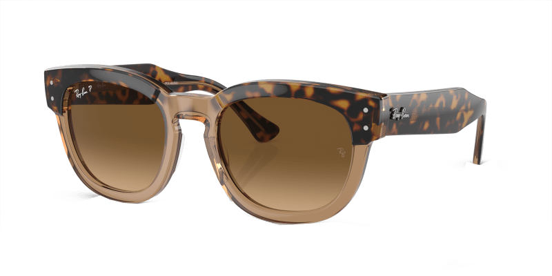 Bass pro sunglasses cheap