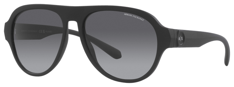 Armani Exchange AX4126SU Polarized Sunglasses Bass Pro Shops