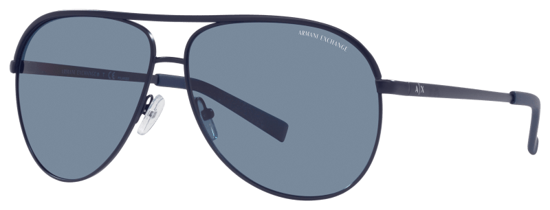 Armani Exchange AX2002 Polarized Sunglasses | Cabela's