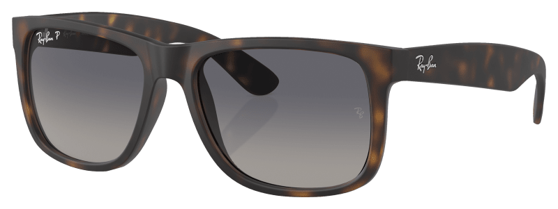 Ray Ban Justin RB4165 Gradient Polarized Sunglasses Bass Pro Shops