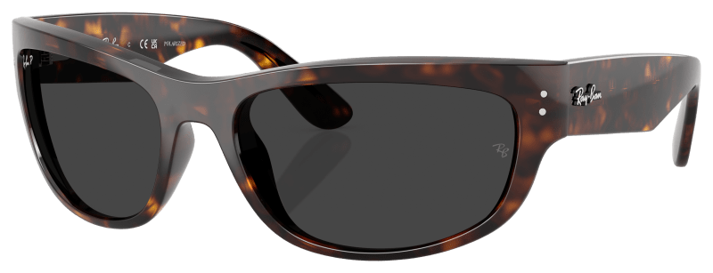 Ray ban balorama tortoise shell store