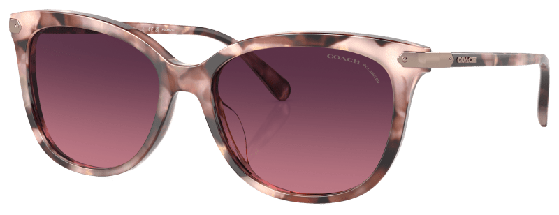 Coach HC8378U Polarized Sunglasses for Ladies Bass Pro Shops