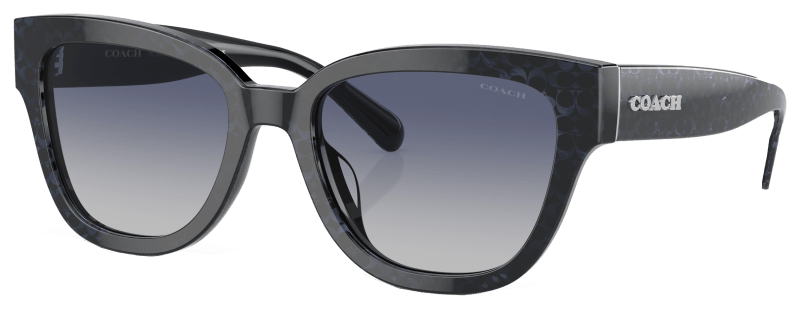 Who makes best sale coach sunglasses