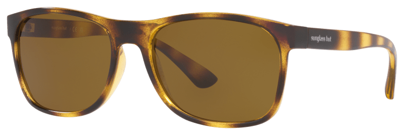 Bass pro shop sunglass hut outlet