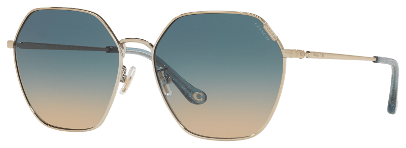 Coach deals ladies sunglasses