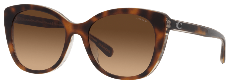 Coach HC8365U Sunglasses for Ladies Bass Pro Shops