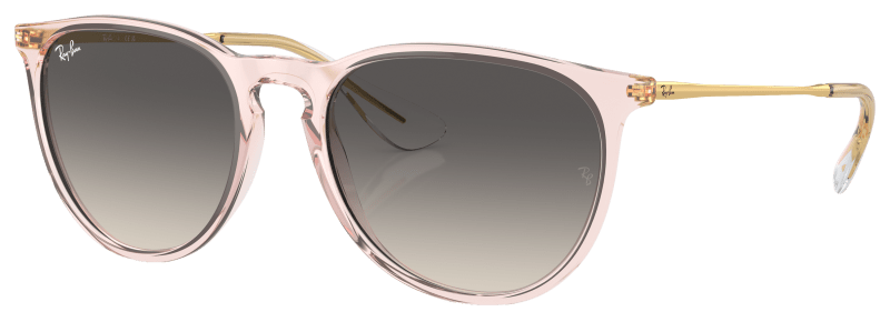 Ray ban erika classic brown silver cheap