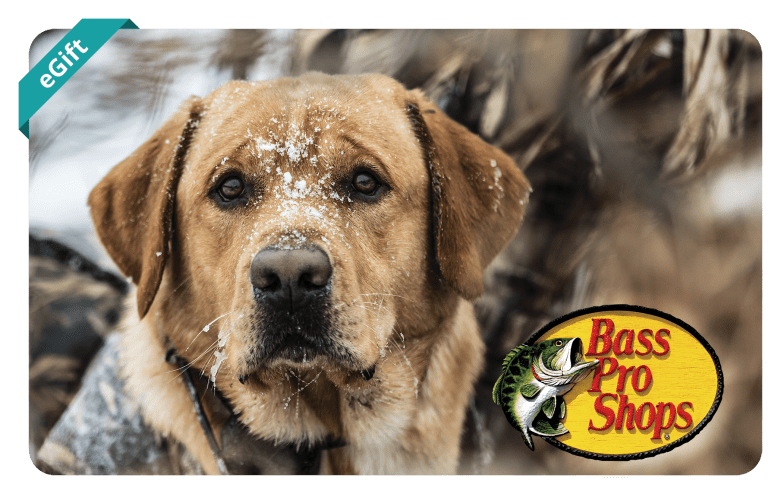 Bass pro dog discount