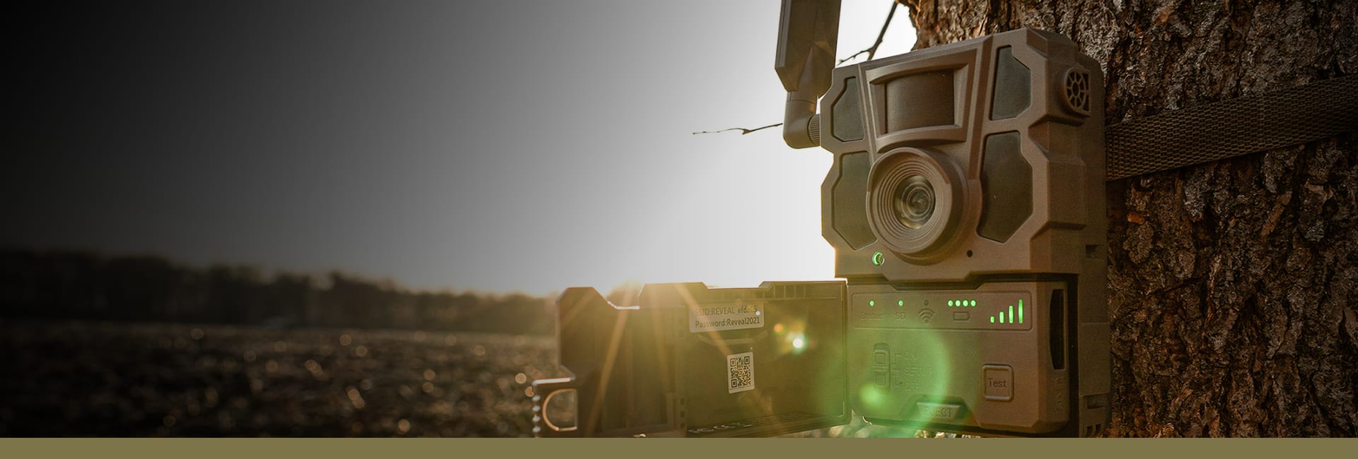 Game and Trail Cameras Bass Pro Shops